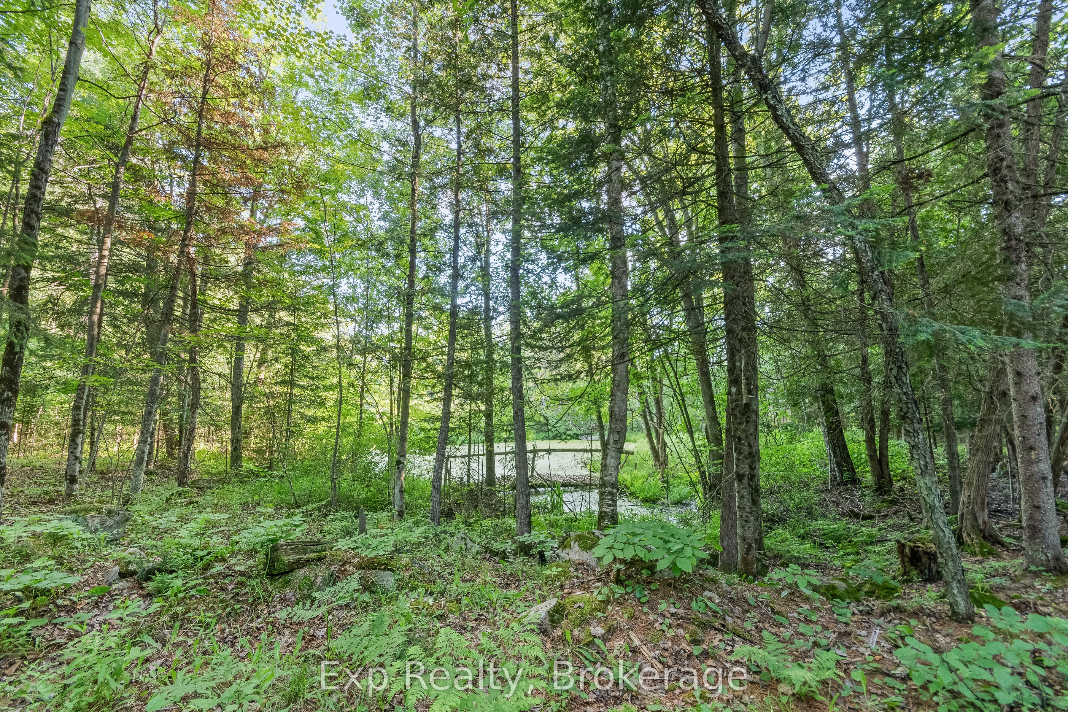 1585 County 46 Road Property Photo 43