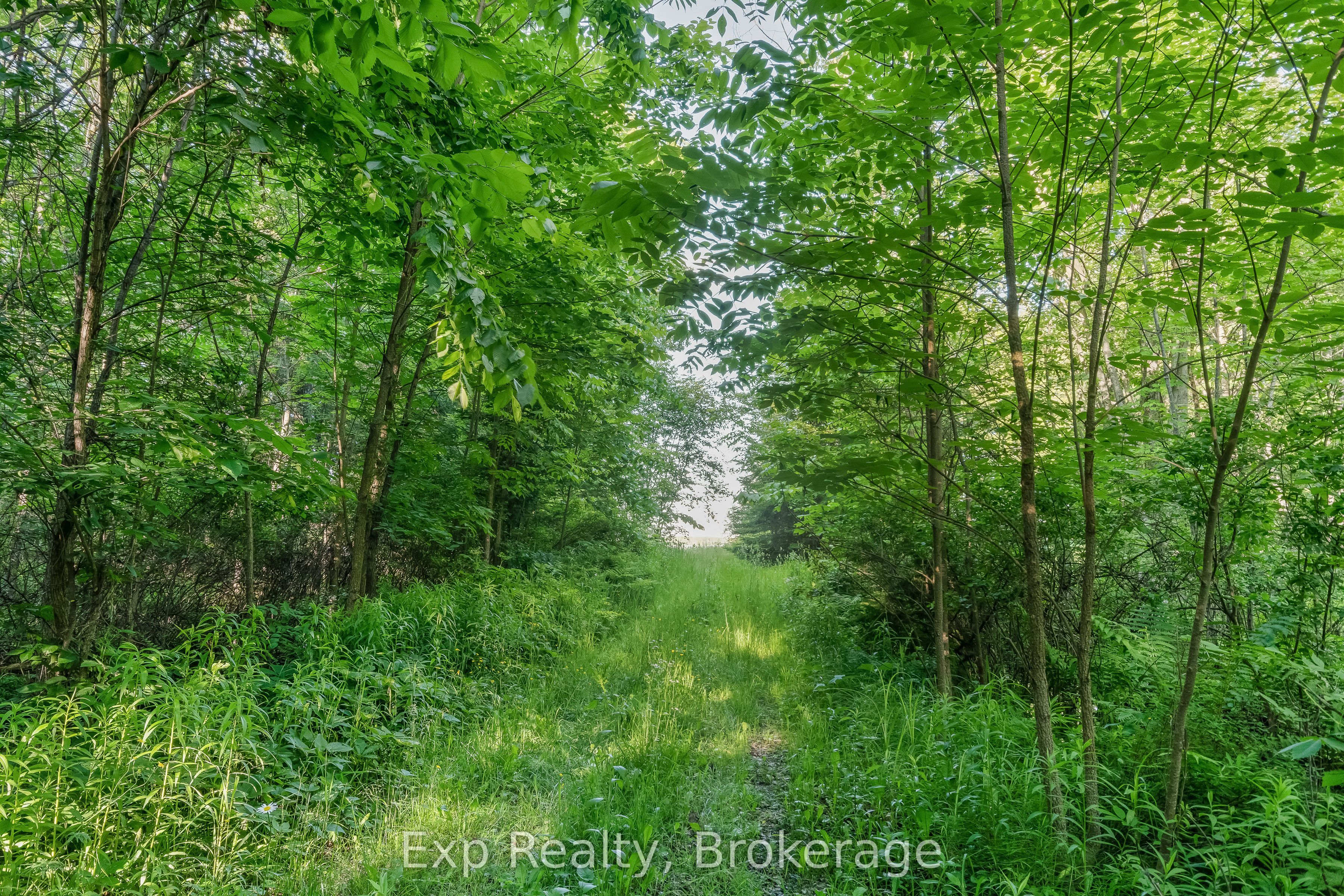 1585 County 46 Road Property Photo 44