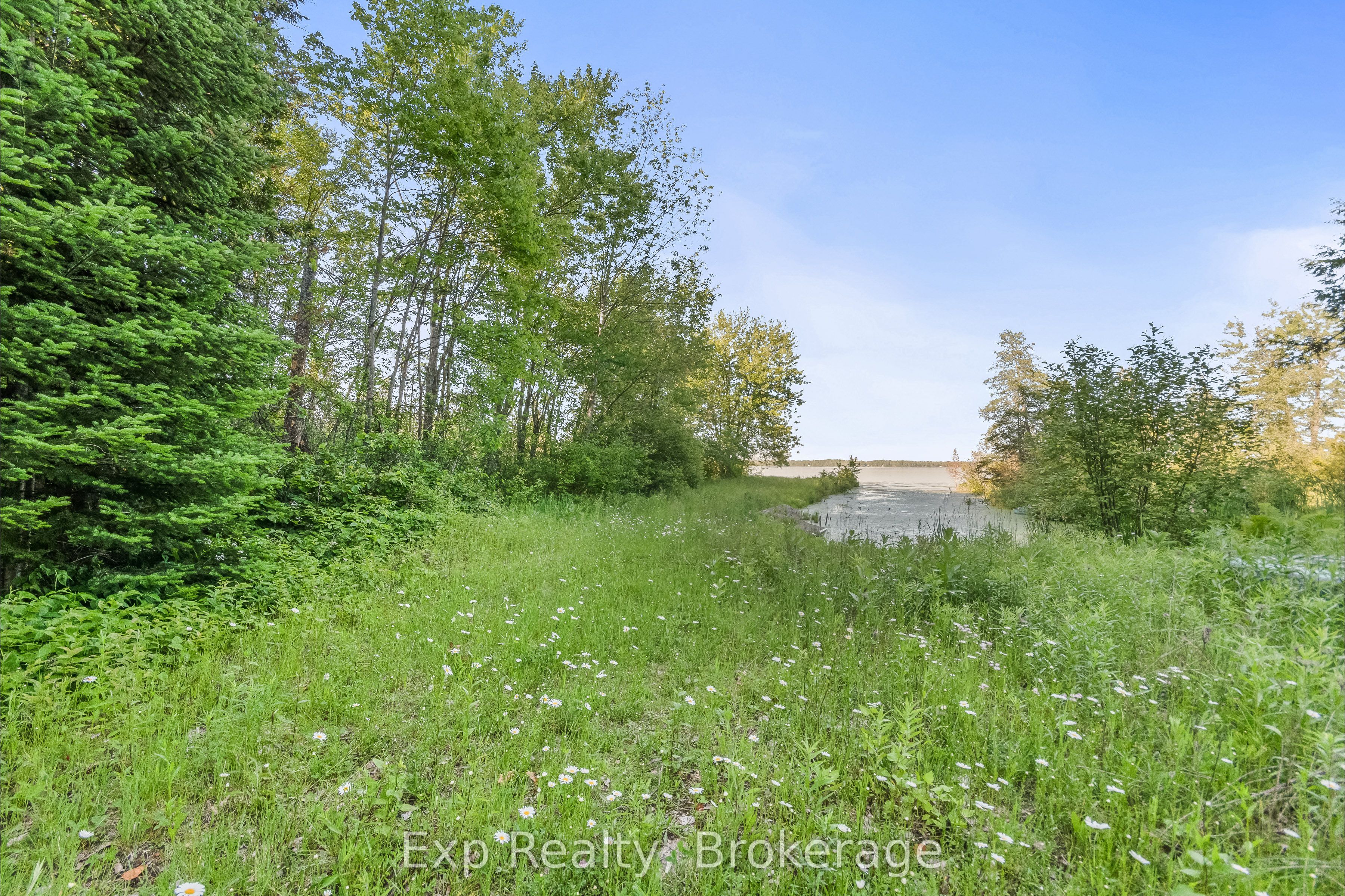 1585 County 46 Road Property Photo 45