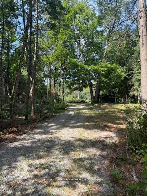 94 Everett Road Property Photo 21