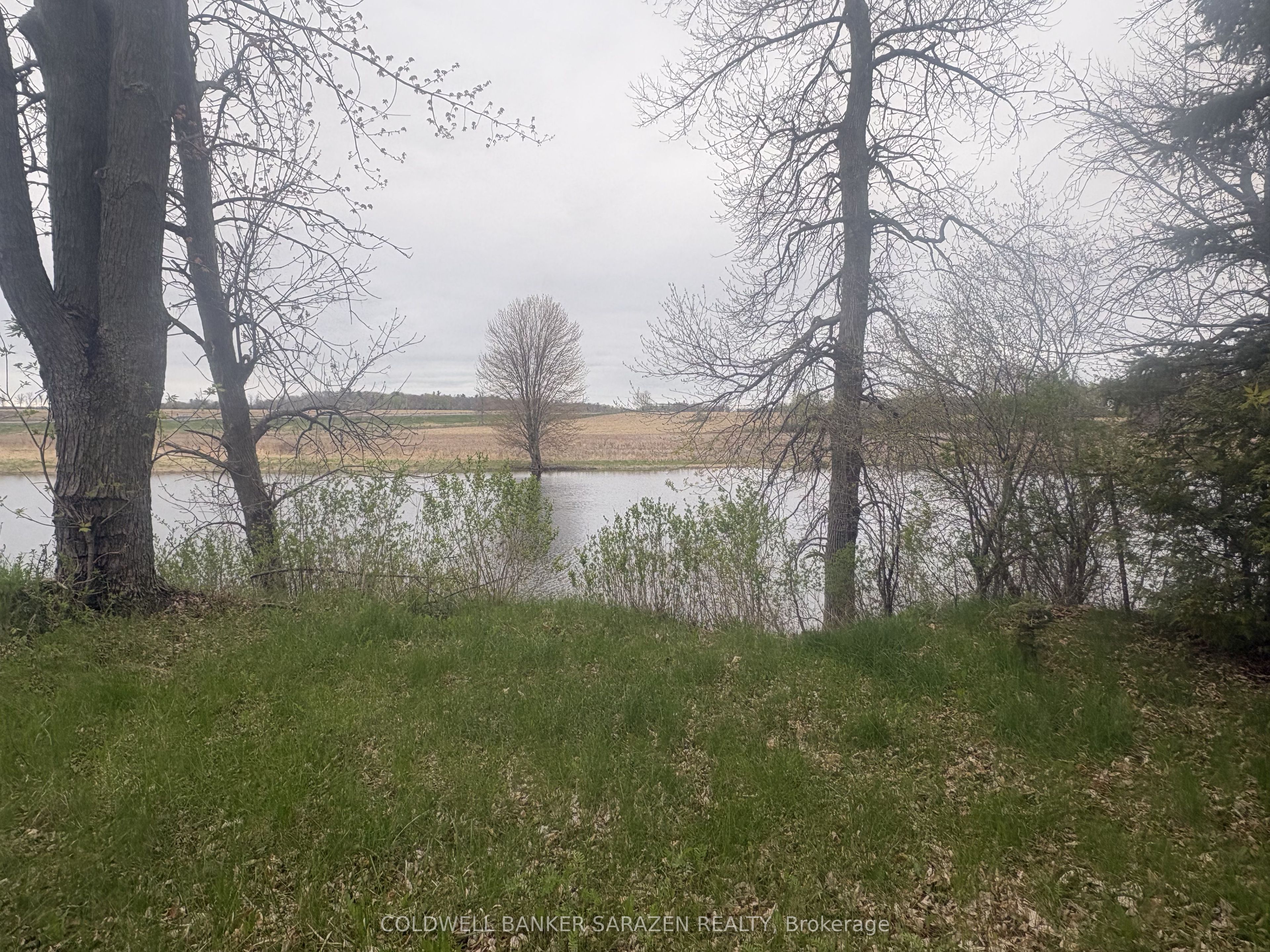 143 Gypsy Lane Property Photo 8