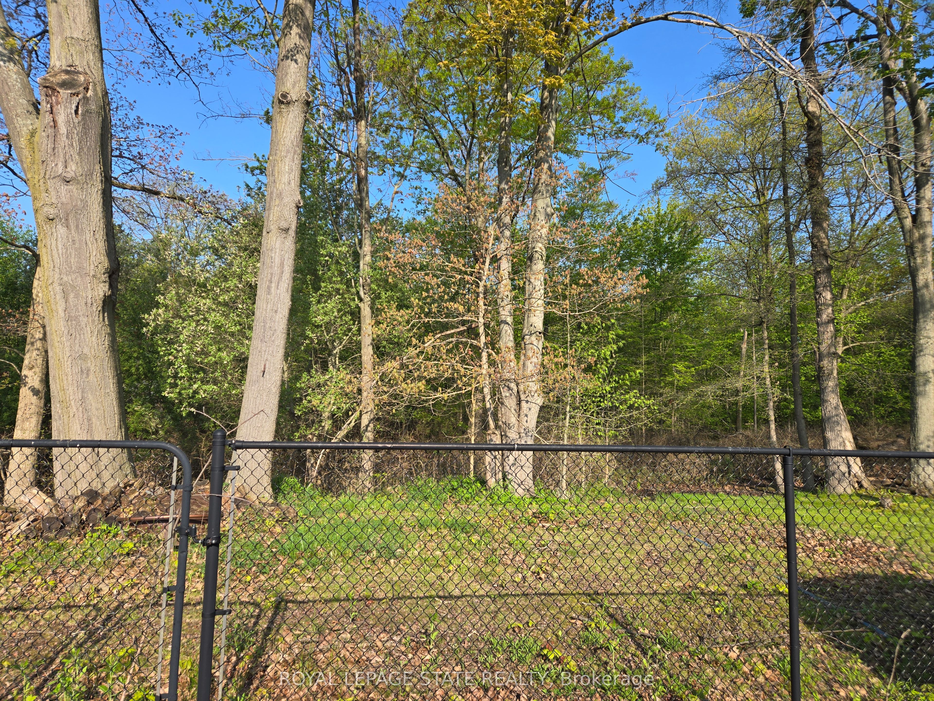 73 Foxtail Avenue Property Photo 25