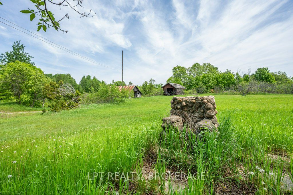 4342 Henderson Road Property Photo 31