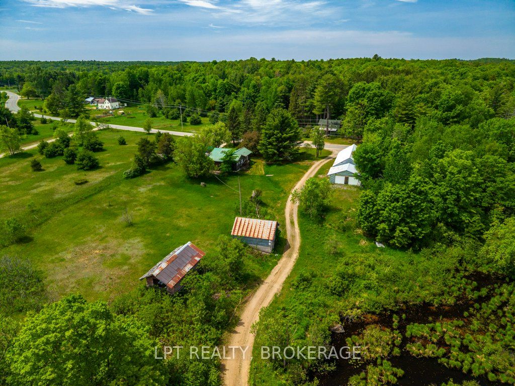 4342 Henderson Road Property Photo 47