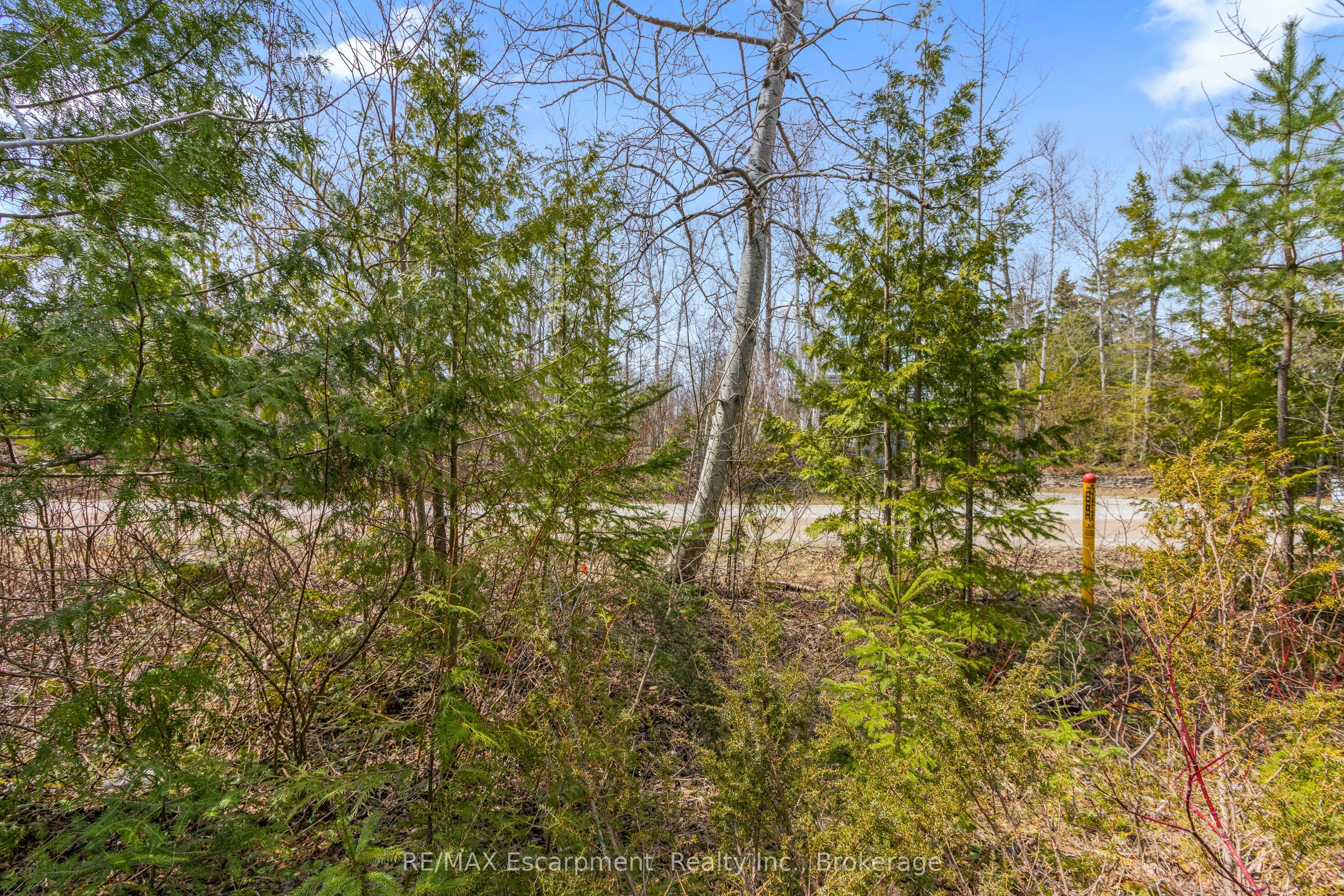 37 Emmerson Avenue Property Photo 12
