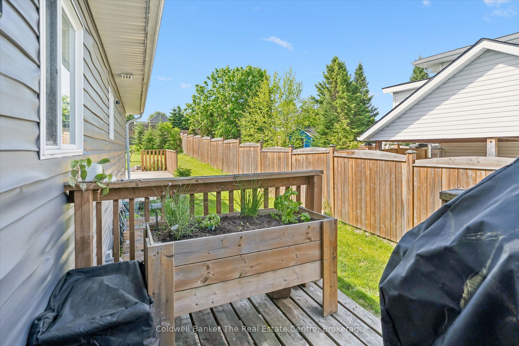 25 Lankin Avenue Property Photo 29