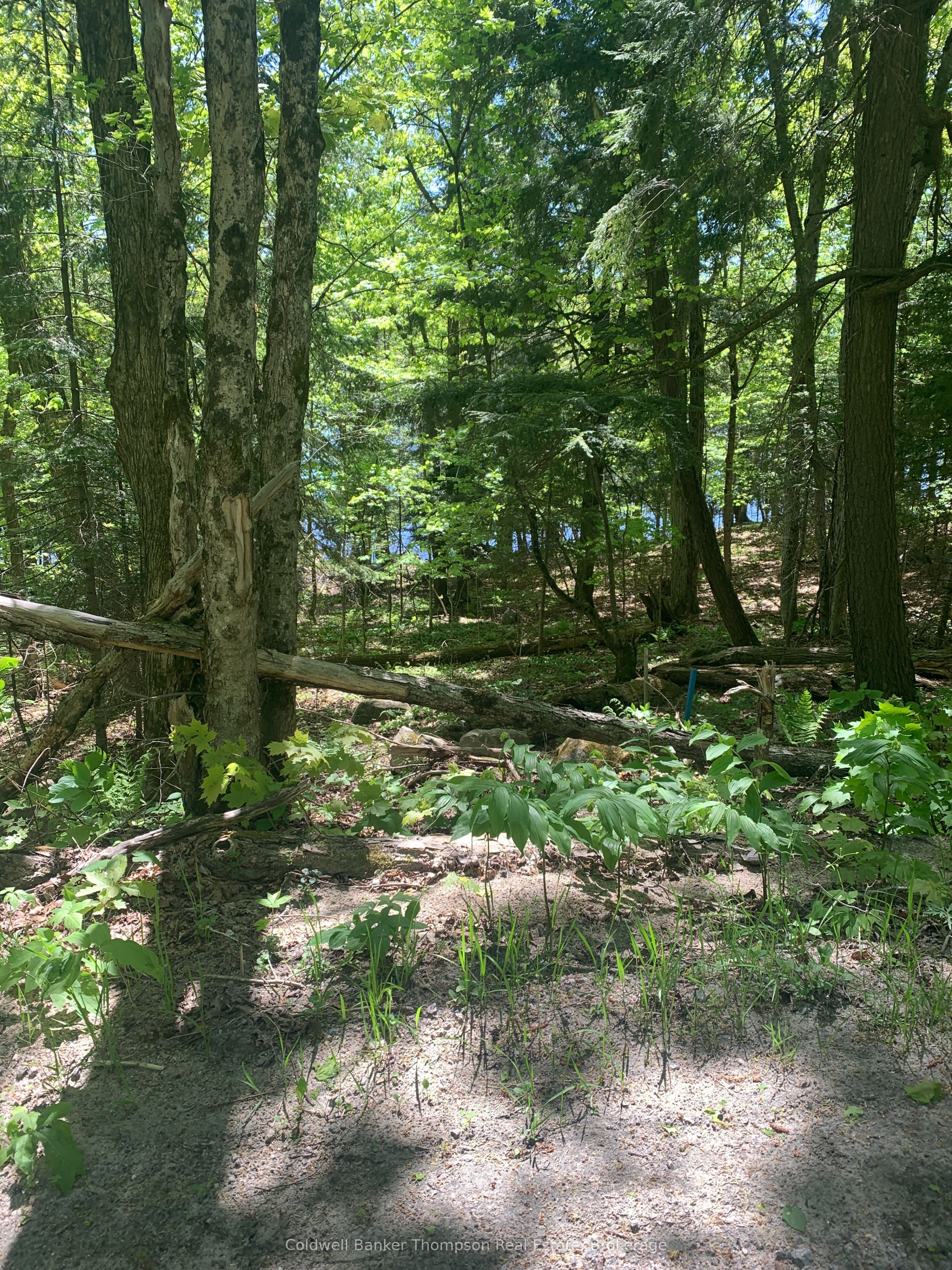 00 Wurm Road Property Photo 1