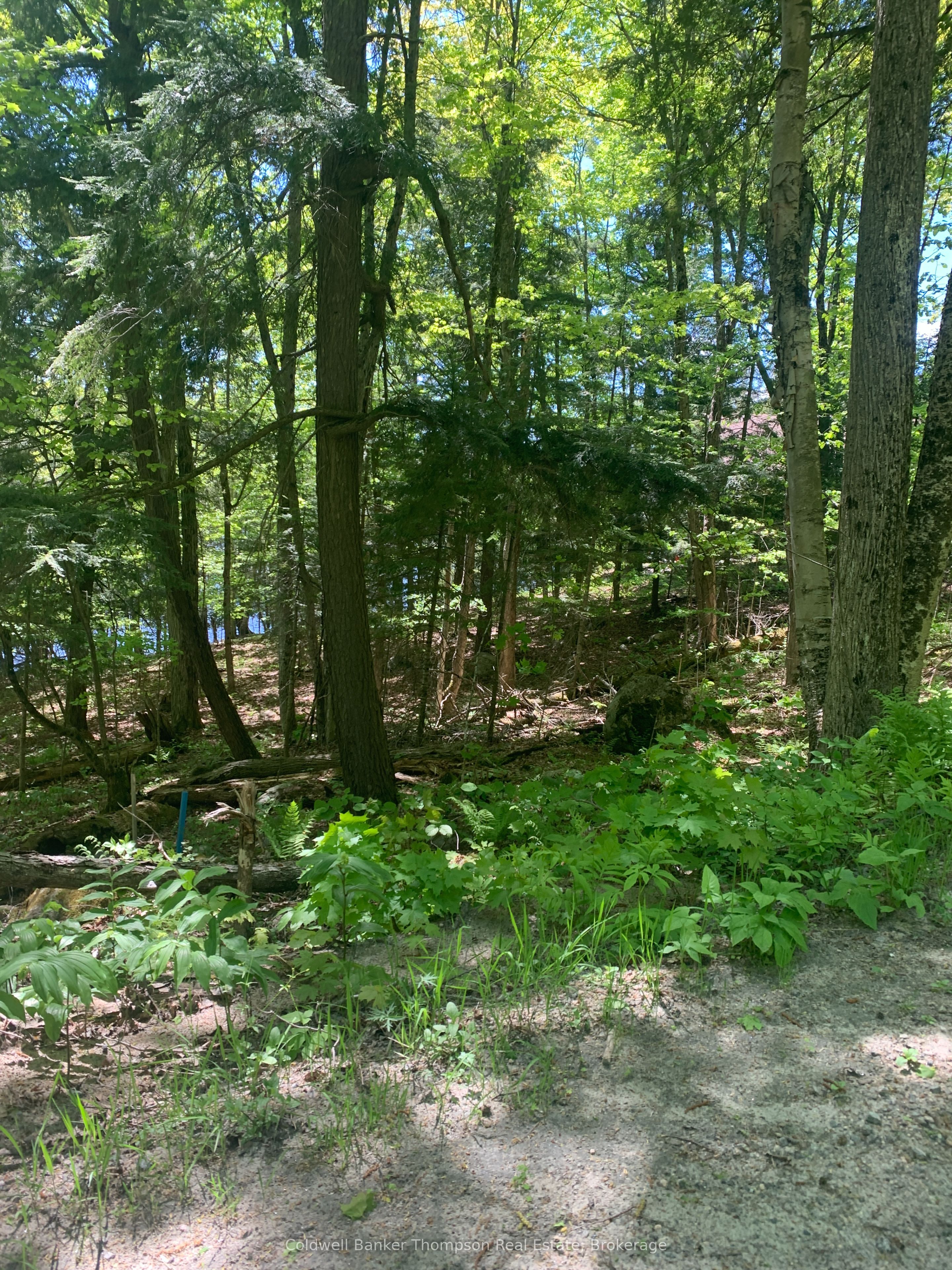 00 Wurm Road Property Photo 2