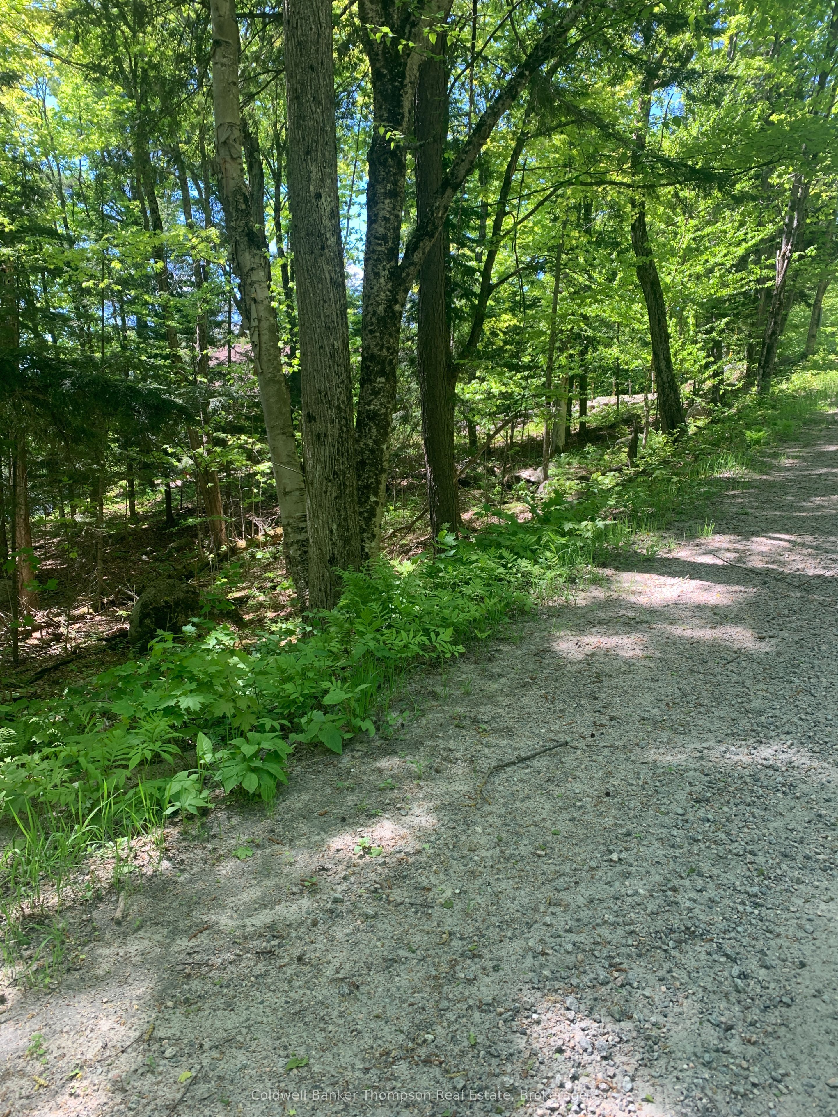 00 Wurm Road Property Photo 3