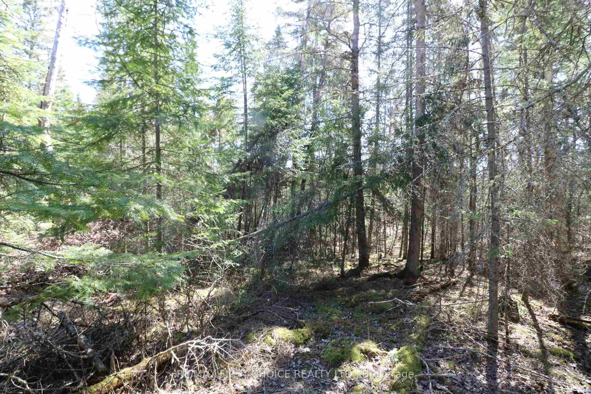 Lot 151 Plan M222 Property Photo 8