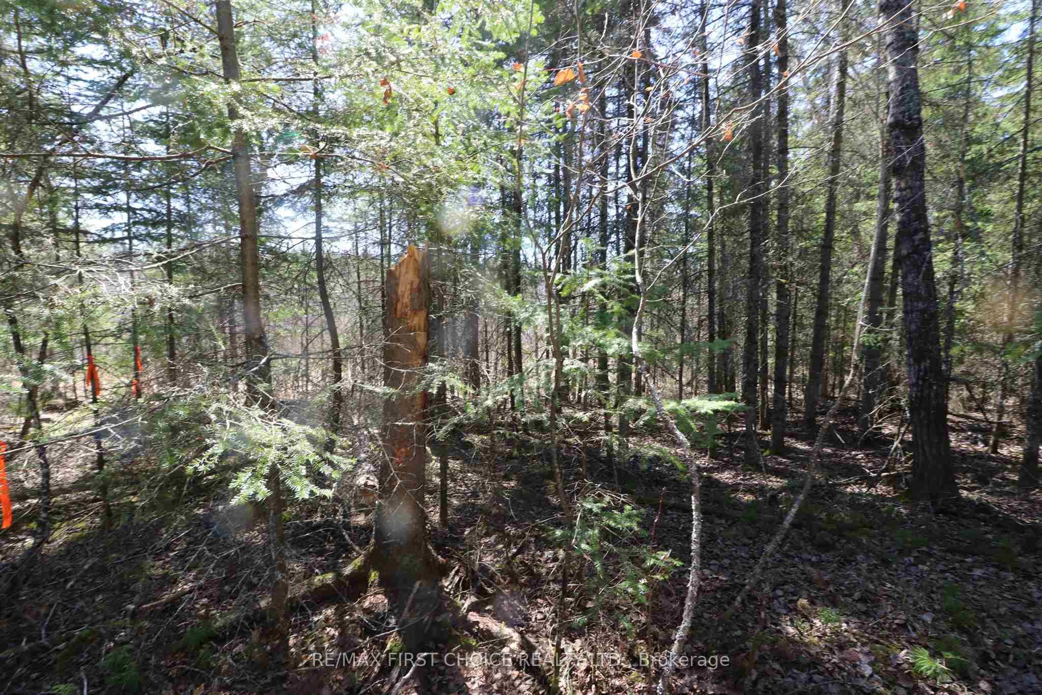Lot 151 Plan M222 Property Photo 9