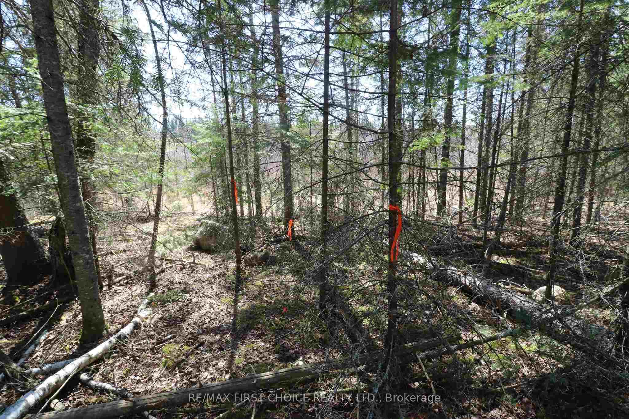 Lot 151 Plan M222 Property Photo 11