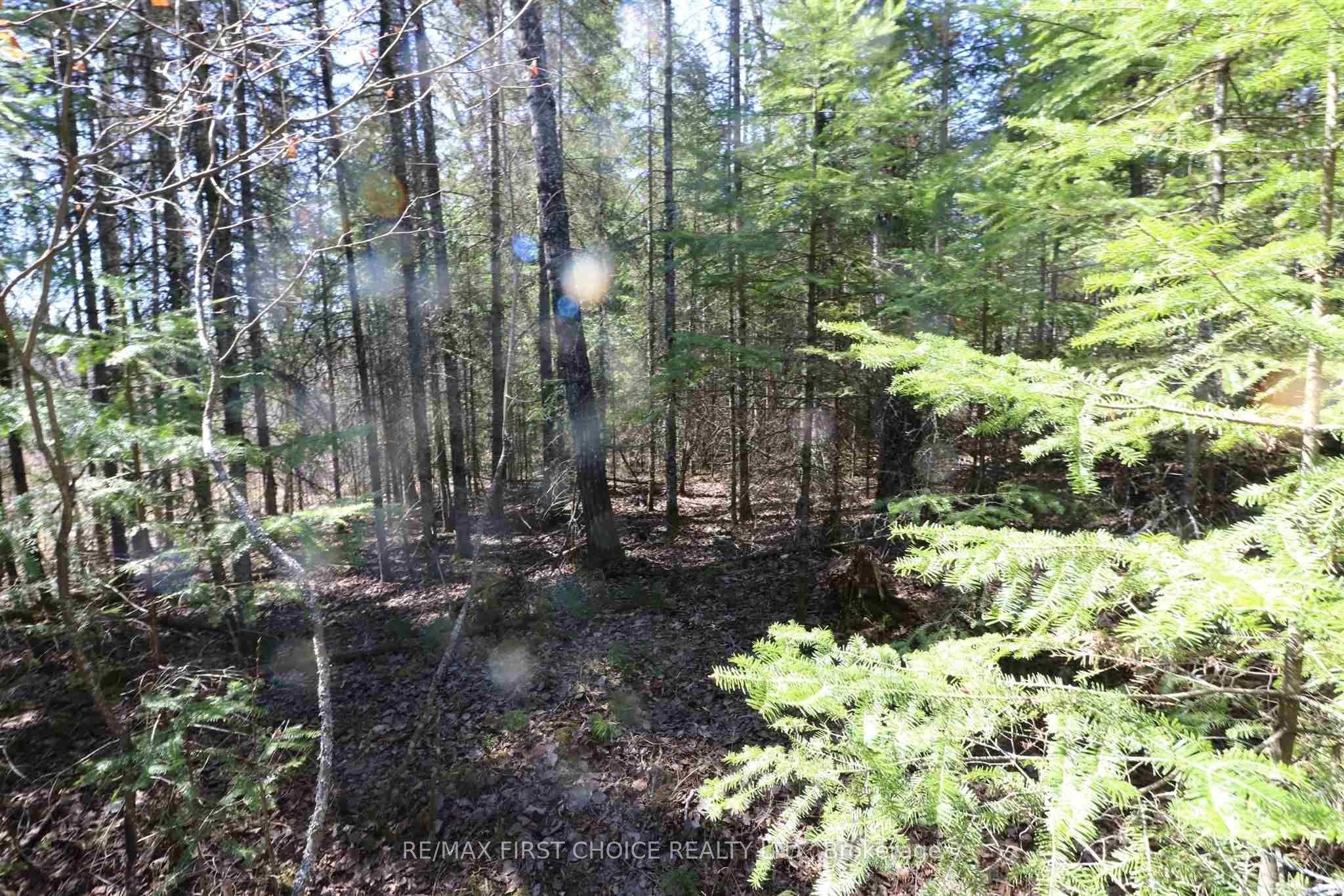 Lot 151 Plan M222 Property Photo 12