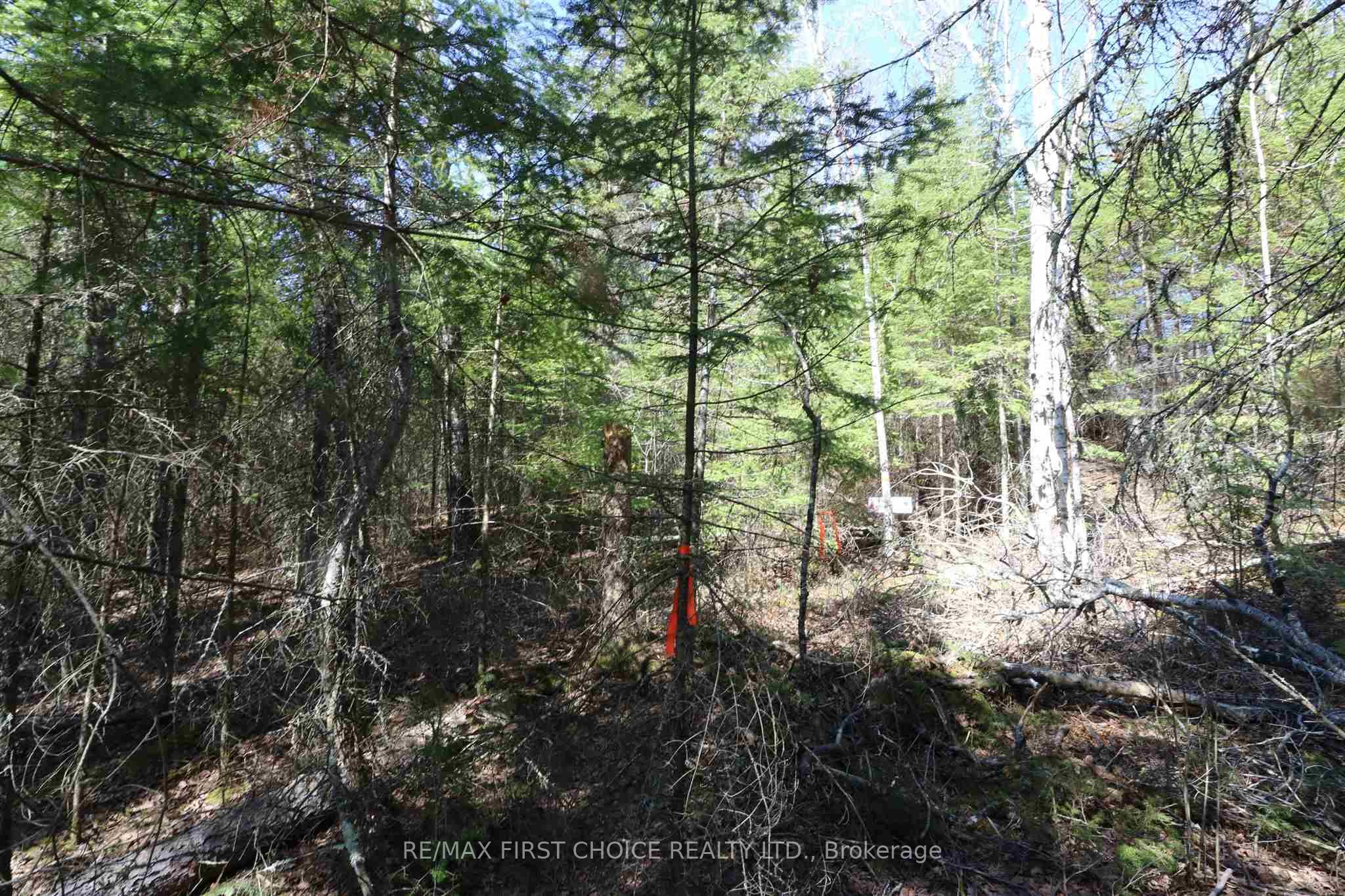 Lot 151 Plan M222 Property Photo 13