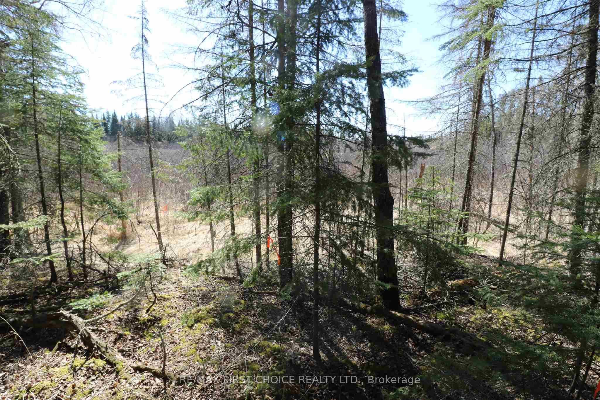 Lot 151 Plan M222 Property Photo 14