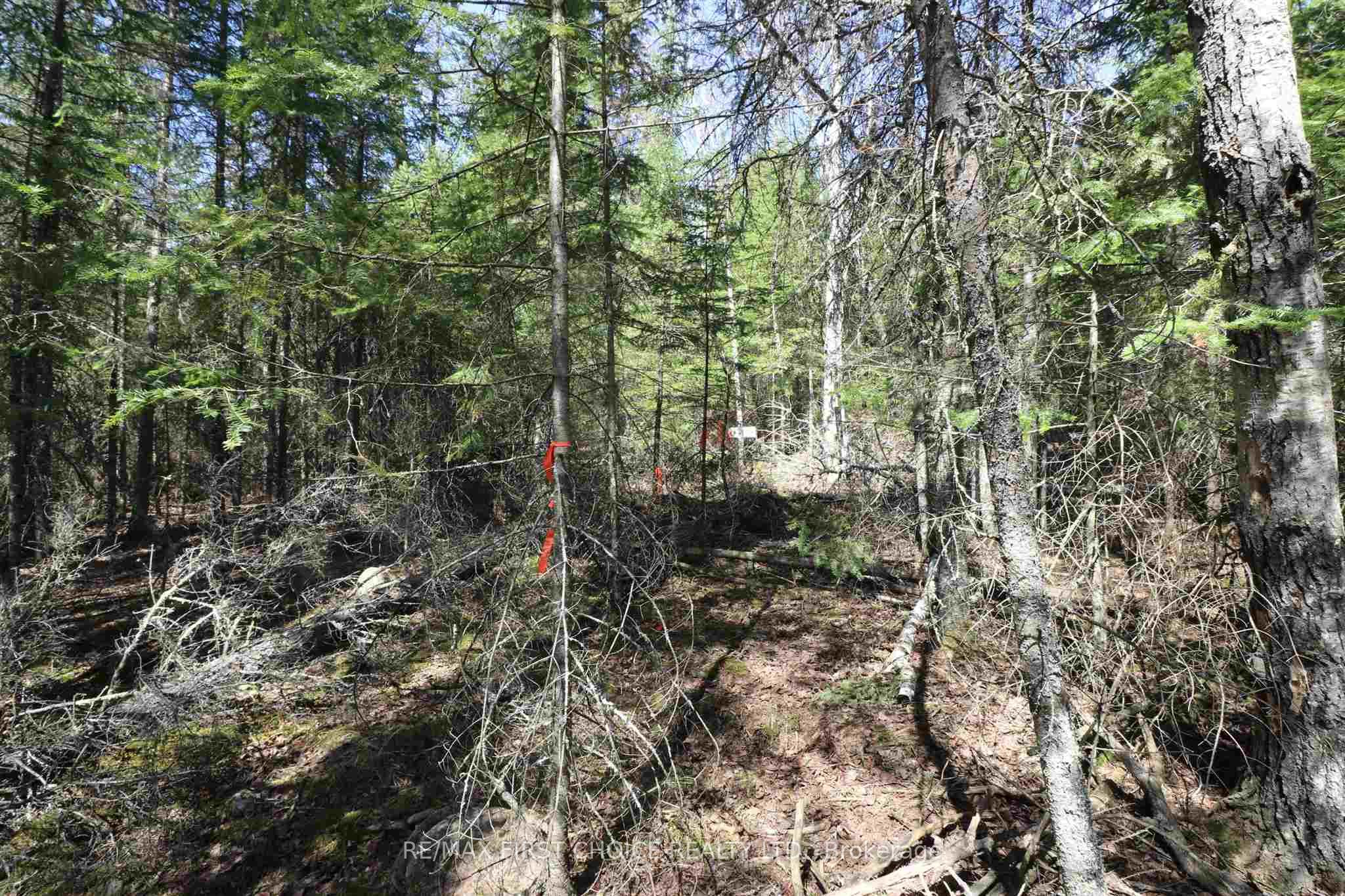 Lot 151 Plan M222 Property Photo 19