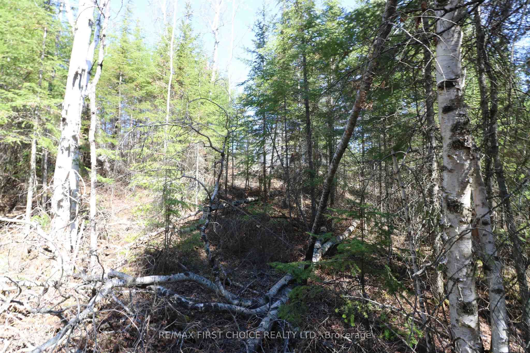 Lot 151 Plan M222 Property Photo 21