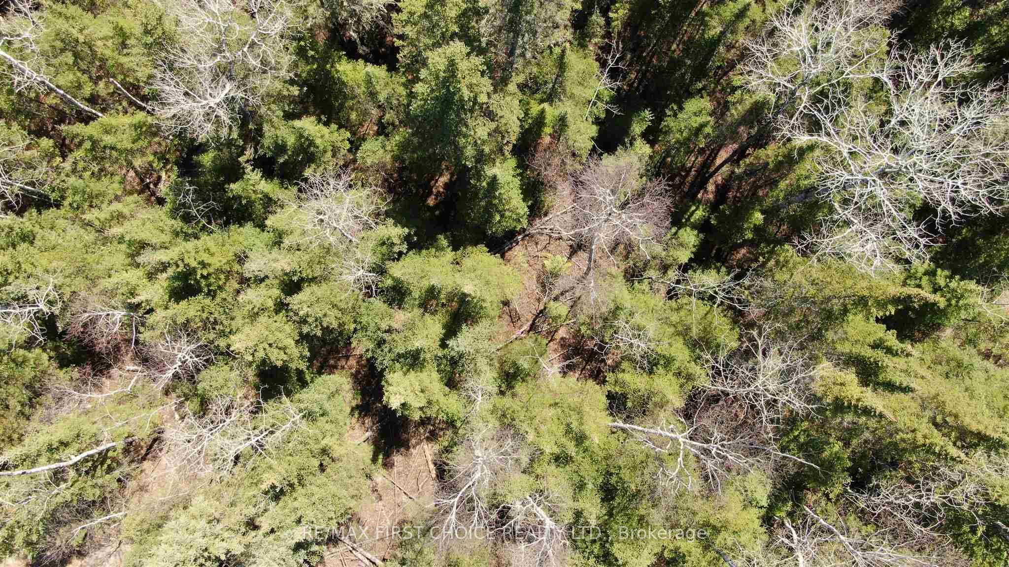 Lot 151 Plan M222 Property Photo 28