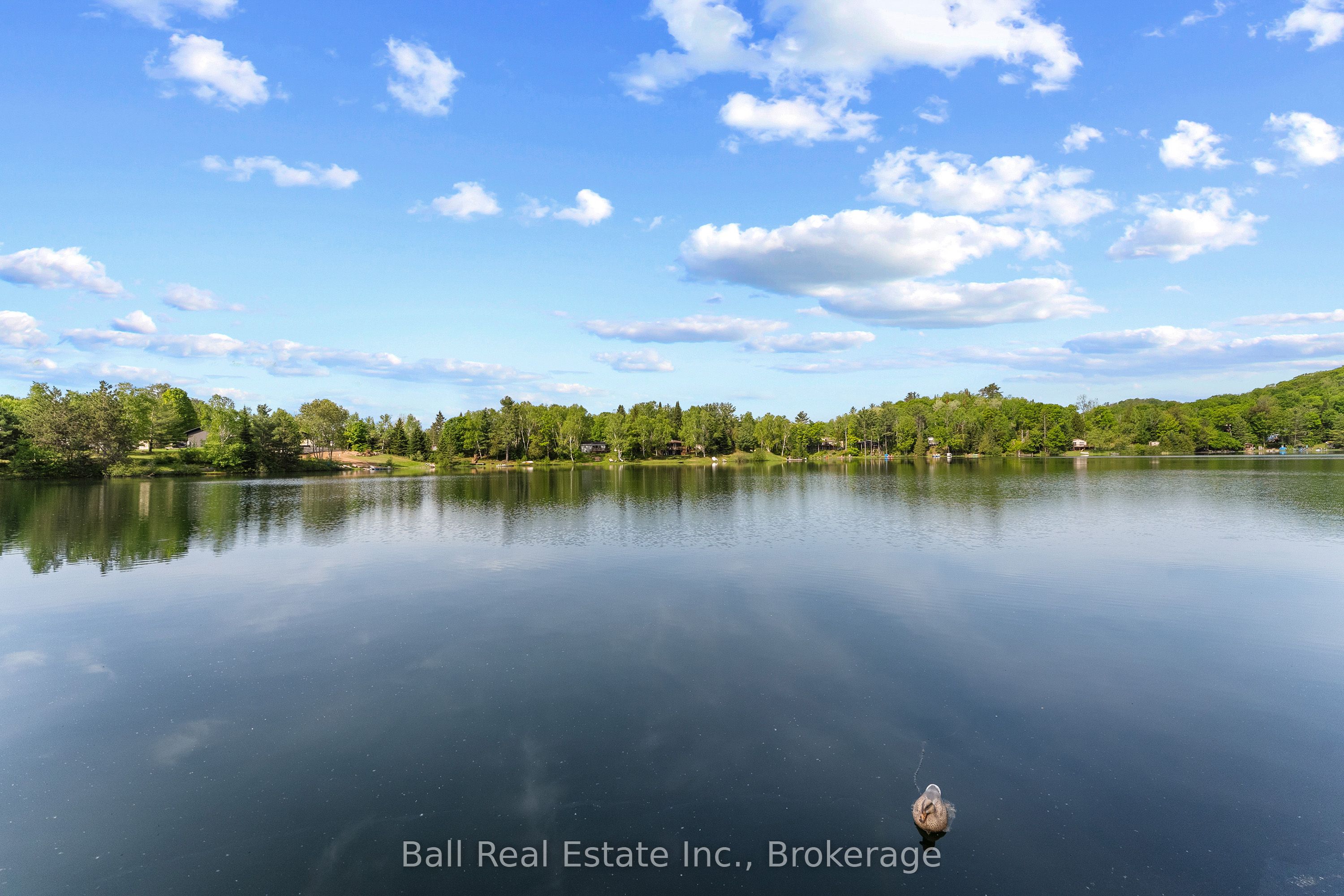 29 Siddon Lake Place Property Photo 47