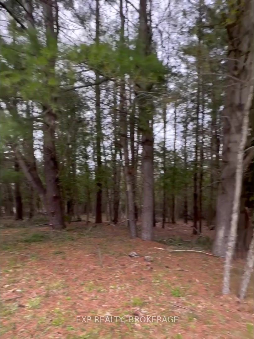 Lot 1 38 Highway Property Photo 15