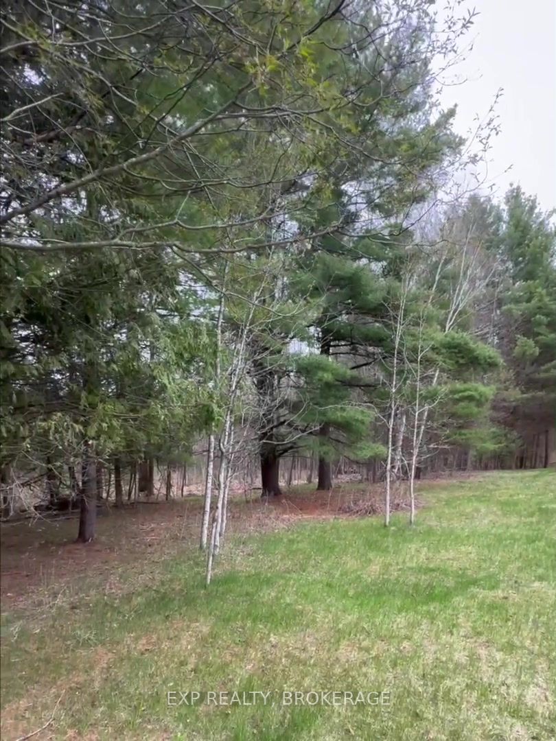Lot 1 38 Highway Property Photo 16