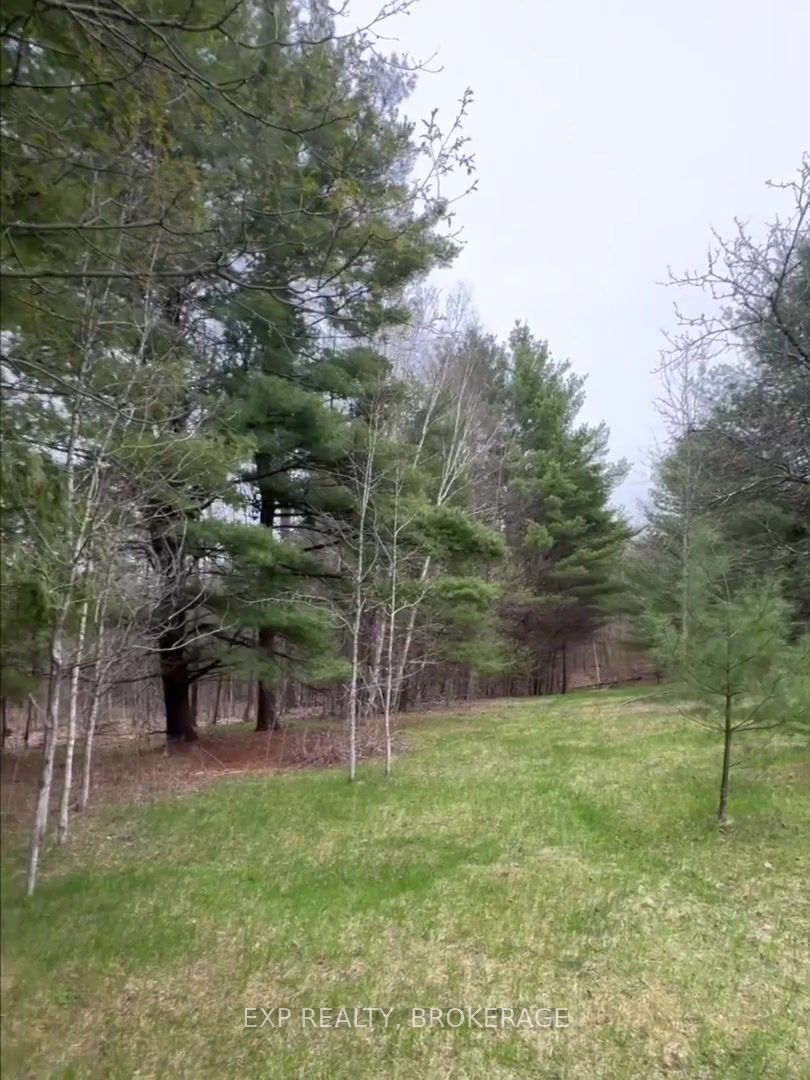 Lot 1 38 Highway Property Photo 22