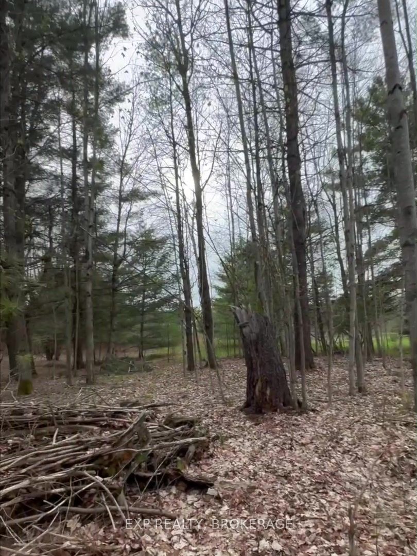 Lot 1 38 Highway Property Photo 23