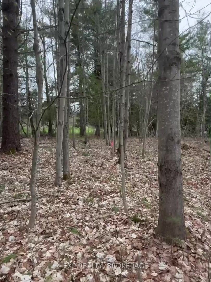 Lot 1 38 Highway Property Photo 25