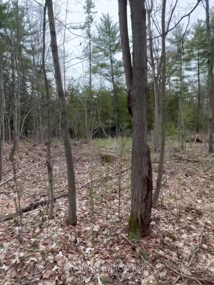 Lot 1 38 Highway Property Photo 27