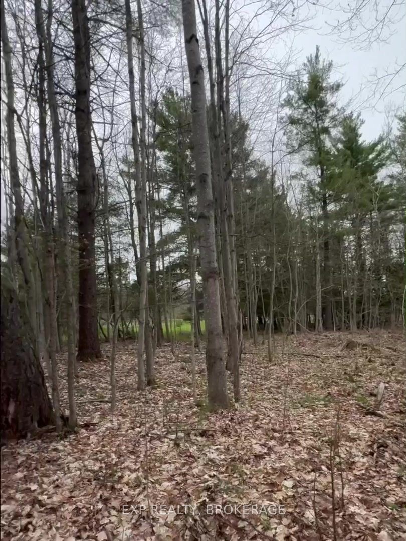 Lot 1 38 Highway Property Photo 28