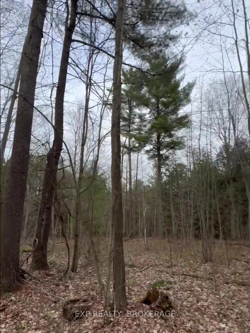 Lot 1 38 Highway Property Photo 29