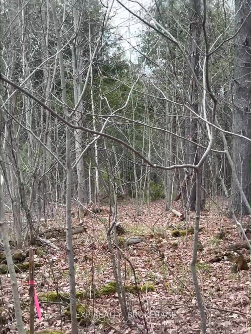 Lot 1 38 Highway Property Photo 33