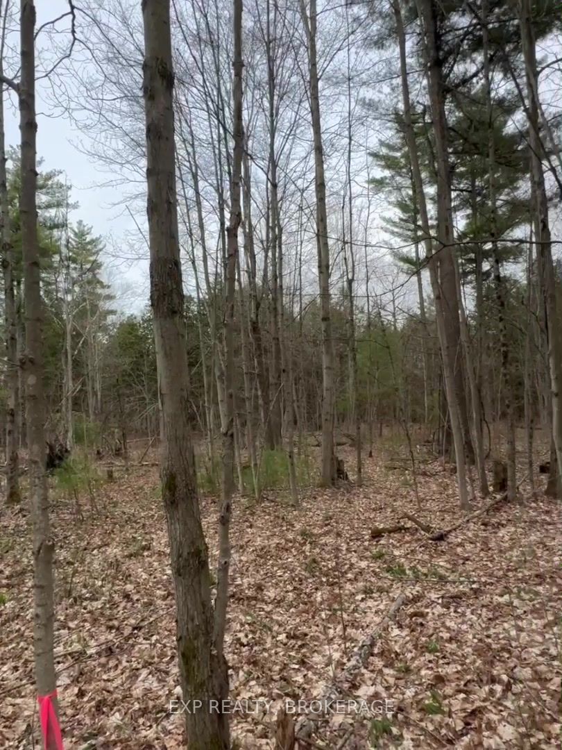 Lot 1 38 Highway Property Photo 34