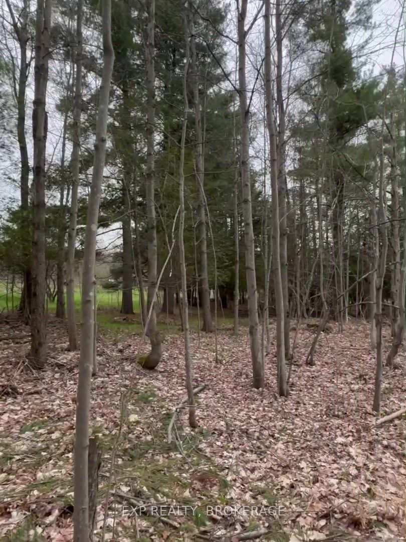 Lot 1 38 Highway Property Photo 35