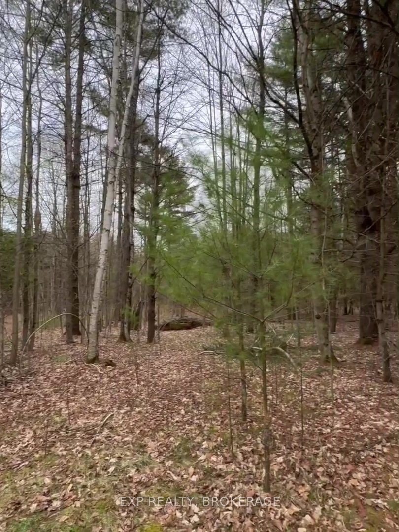 Lot 1 38 Highway Property Photo 37