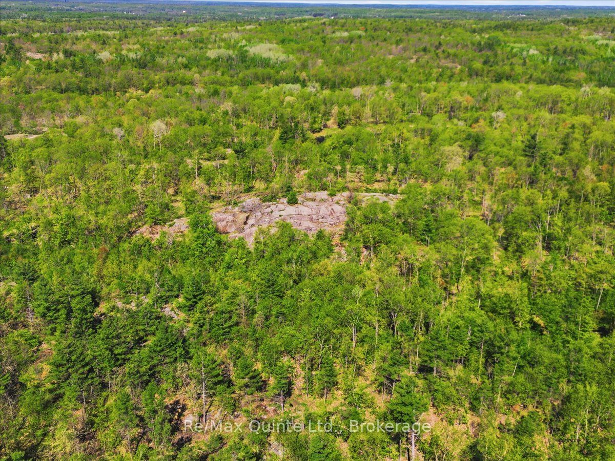 104577 Hwy 7 Highway Property Photo 6