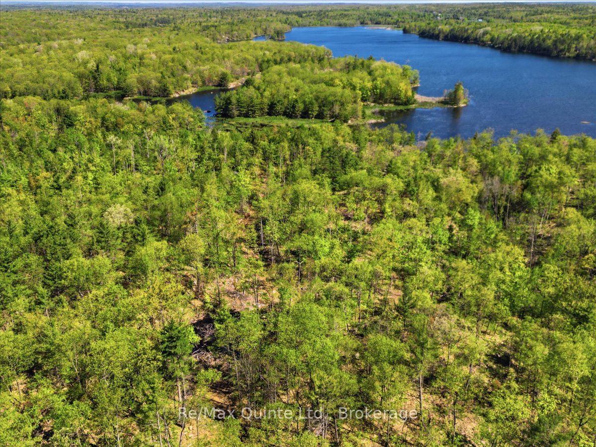 104577 Hwy 7 Highway Property Photo 7