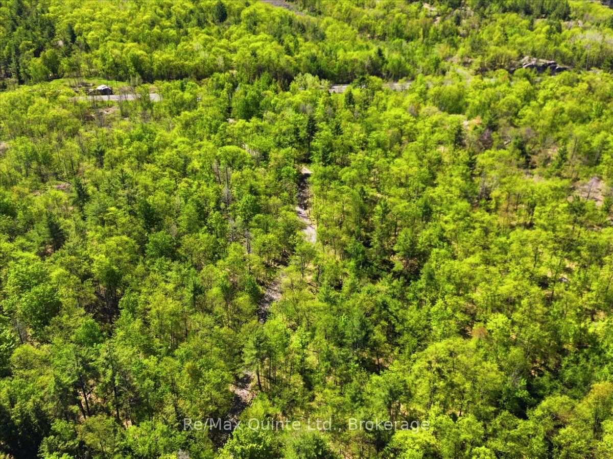 104577 Hwy 7 Highway Property Photo 13