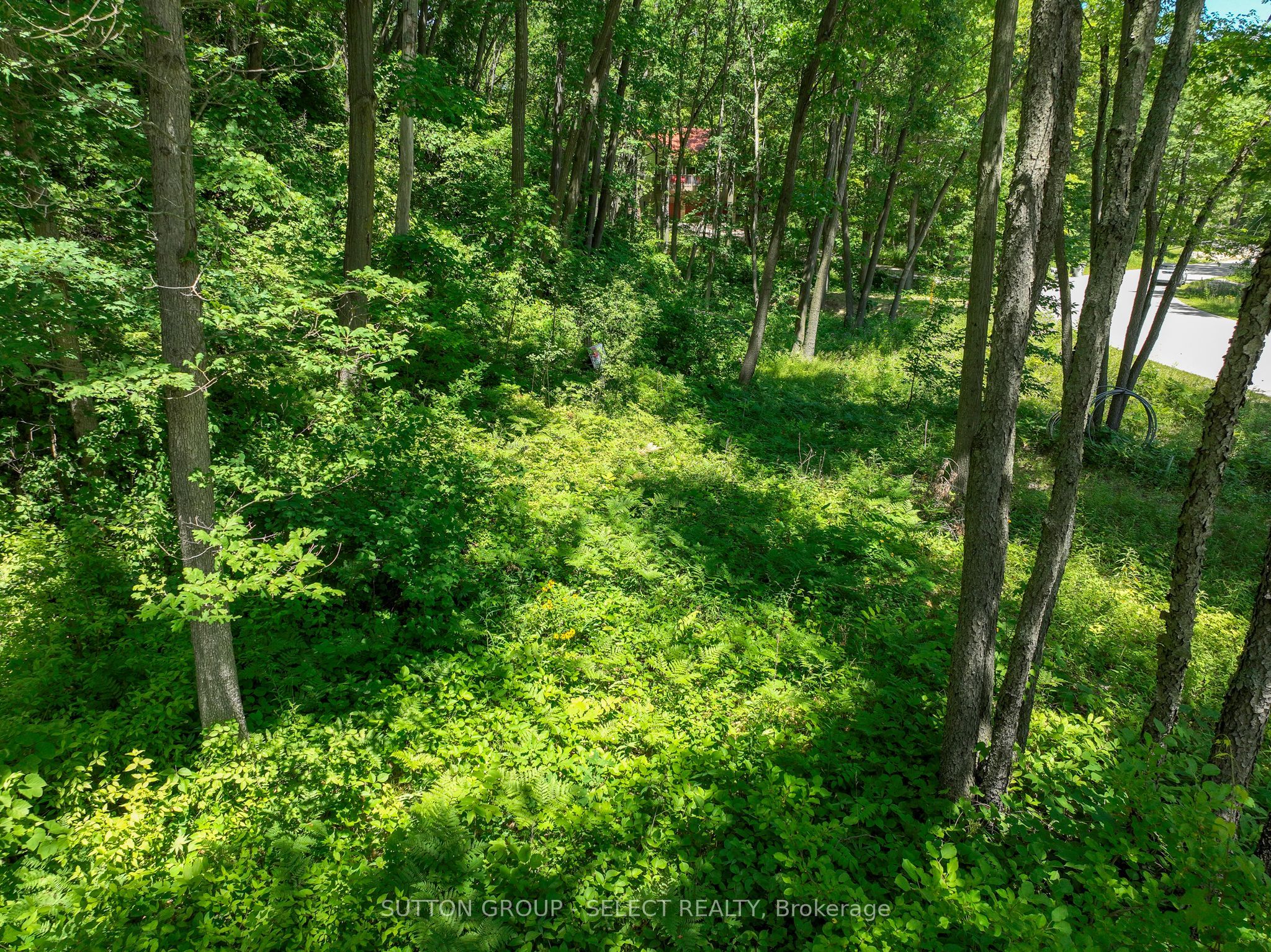10096 Pinery Bluffs Rd Property Photo 8