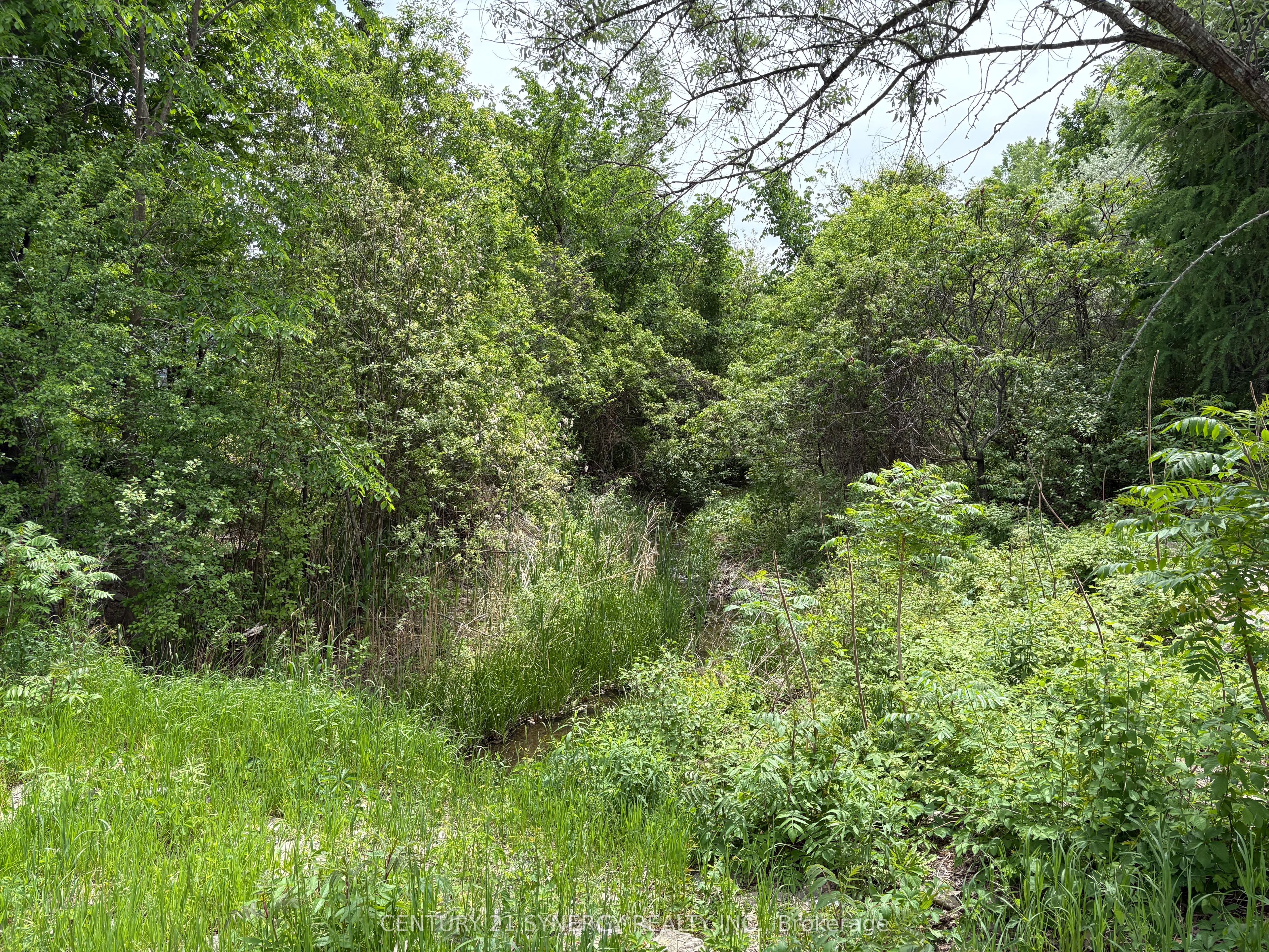 45 Turtle Point Private Property Photo 40