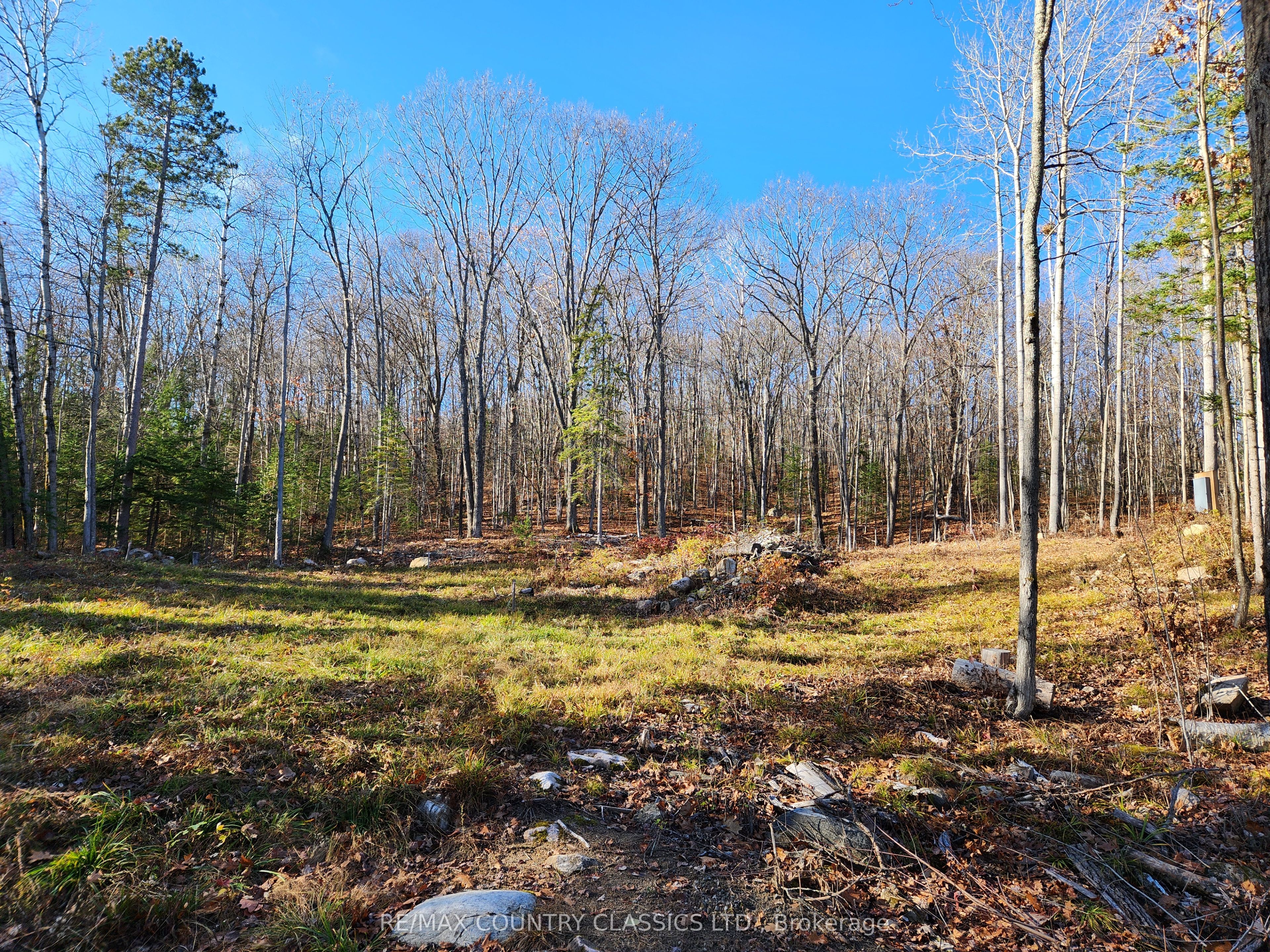 790 Mitchell Road Property Photo 1