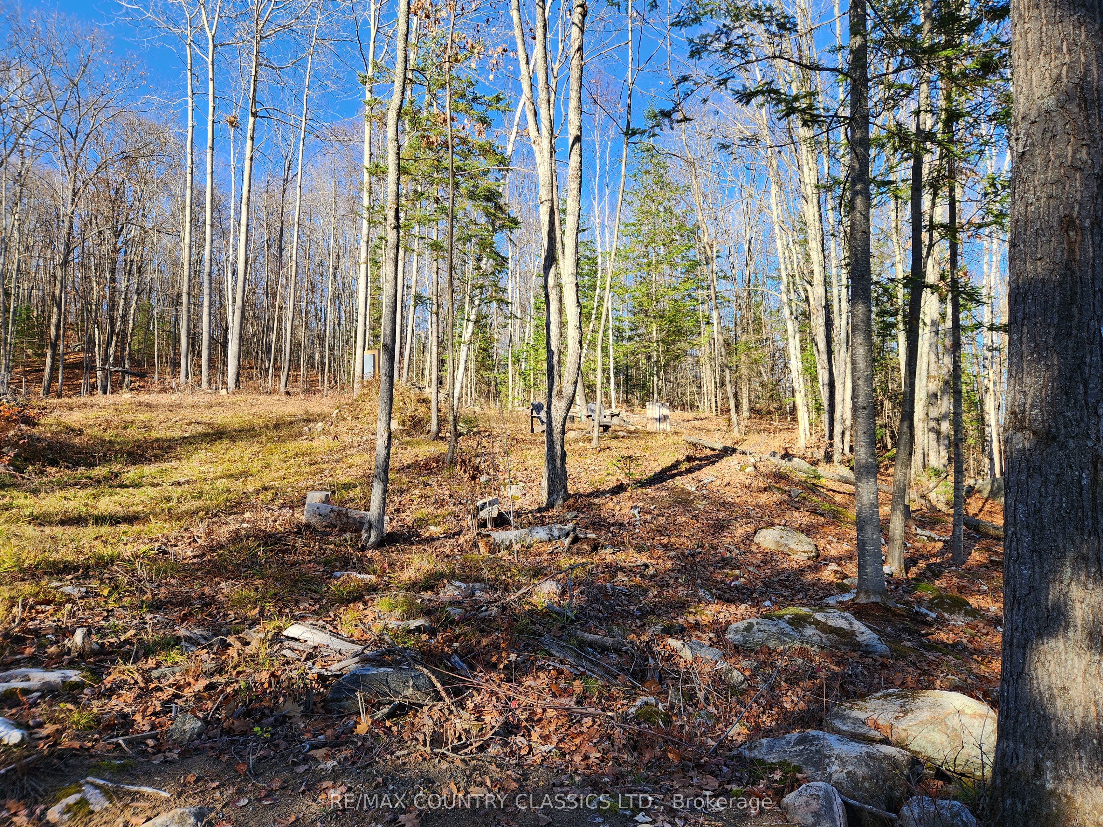 790 Mitchell Road Property Photo 2