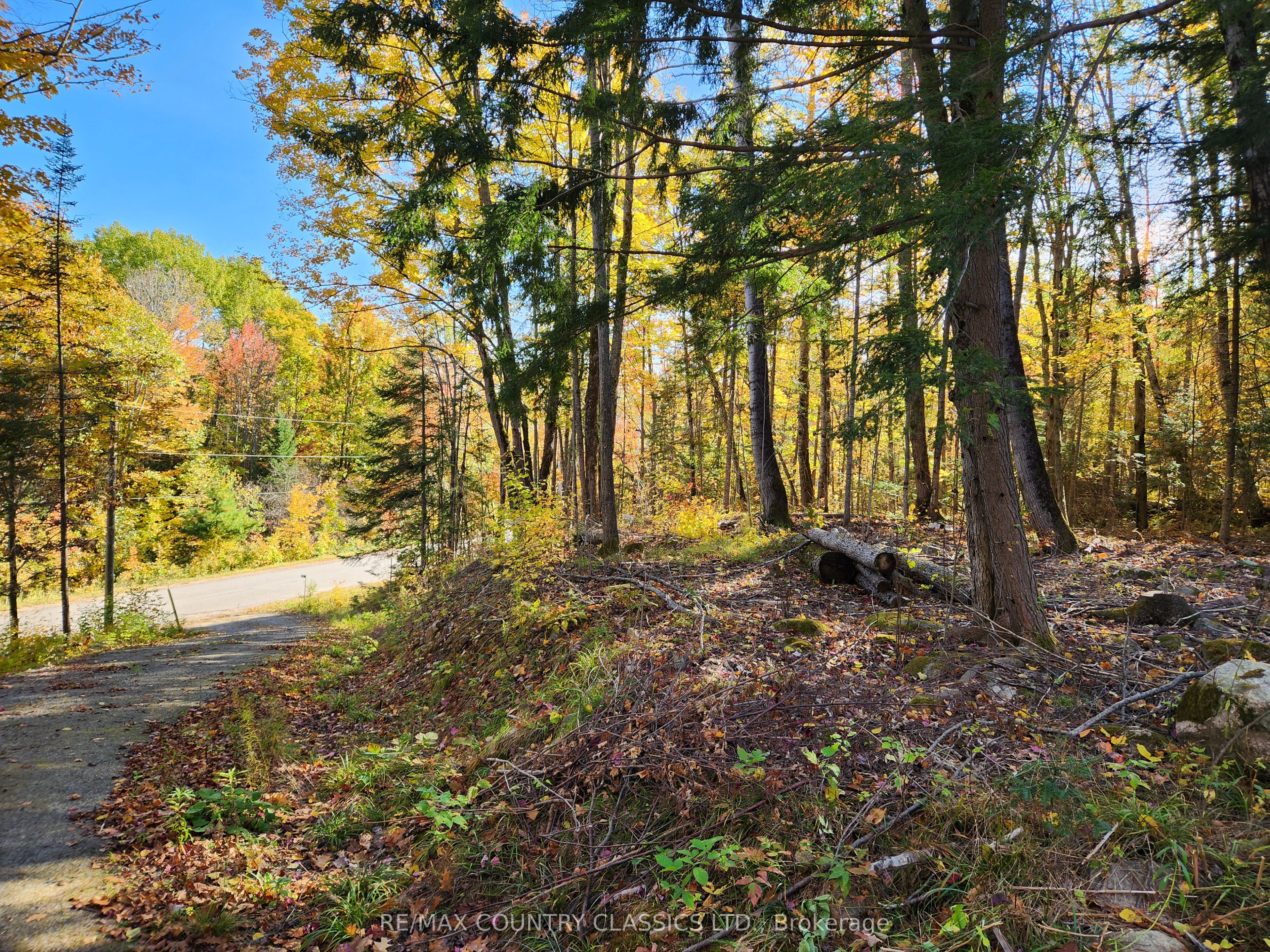 790 Mitchell Road Property Photo 3