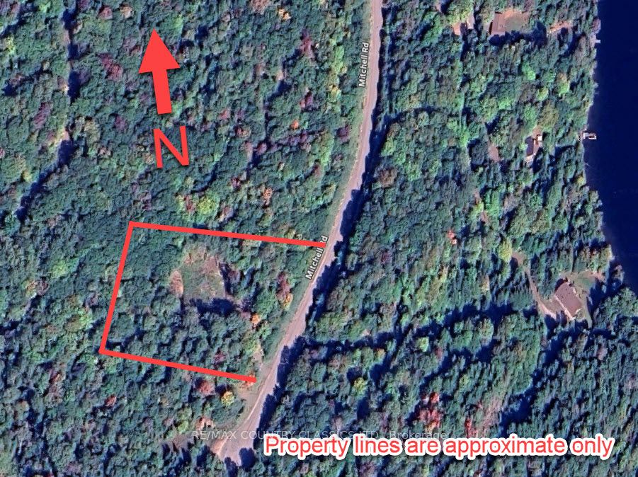 790 Mitchell Road Property Photo 4
