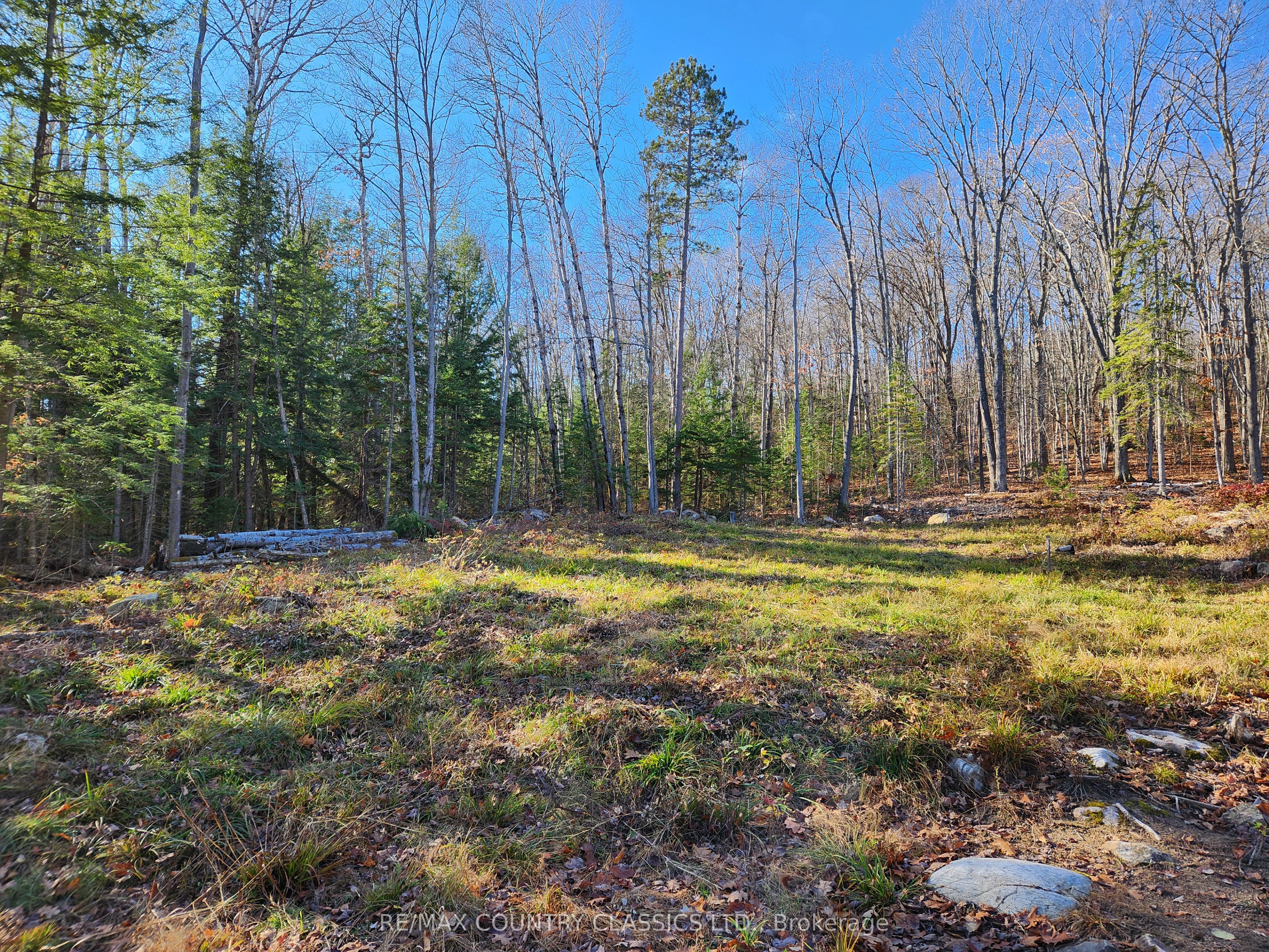 790 Mitchell Road Property Photo 8