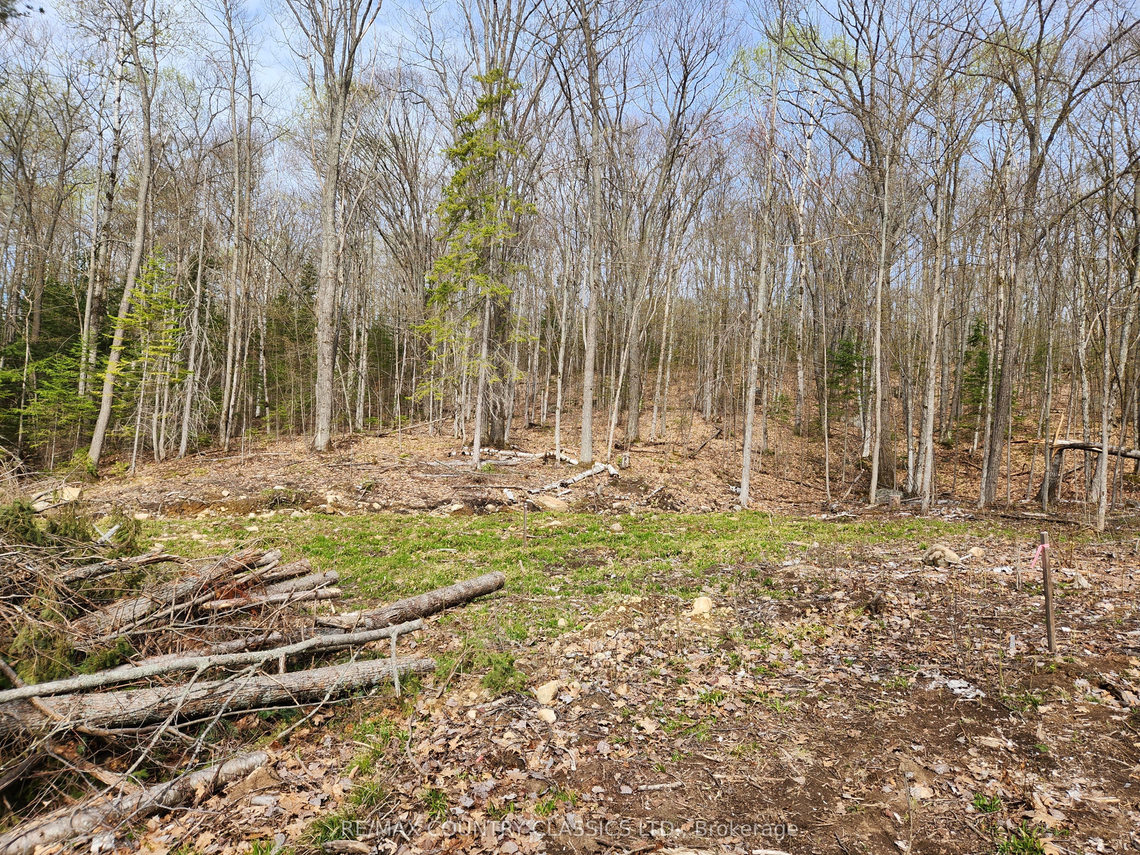 790 Mitchell Road Property Photo 10