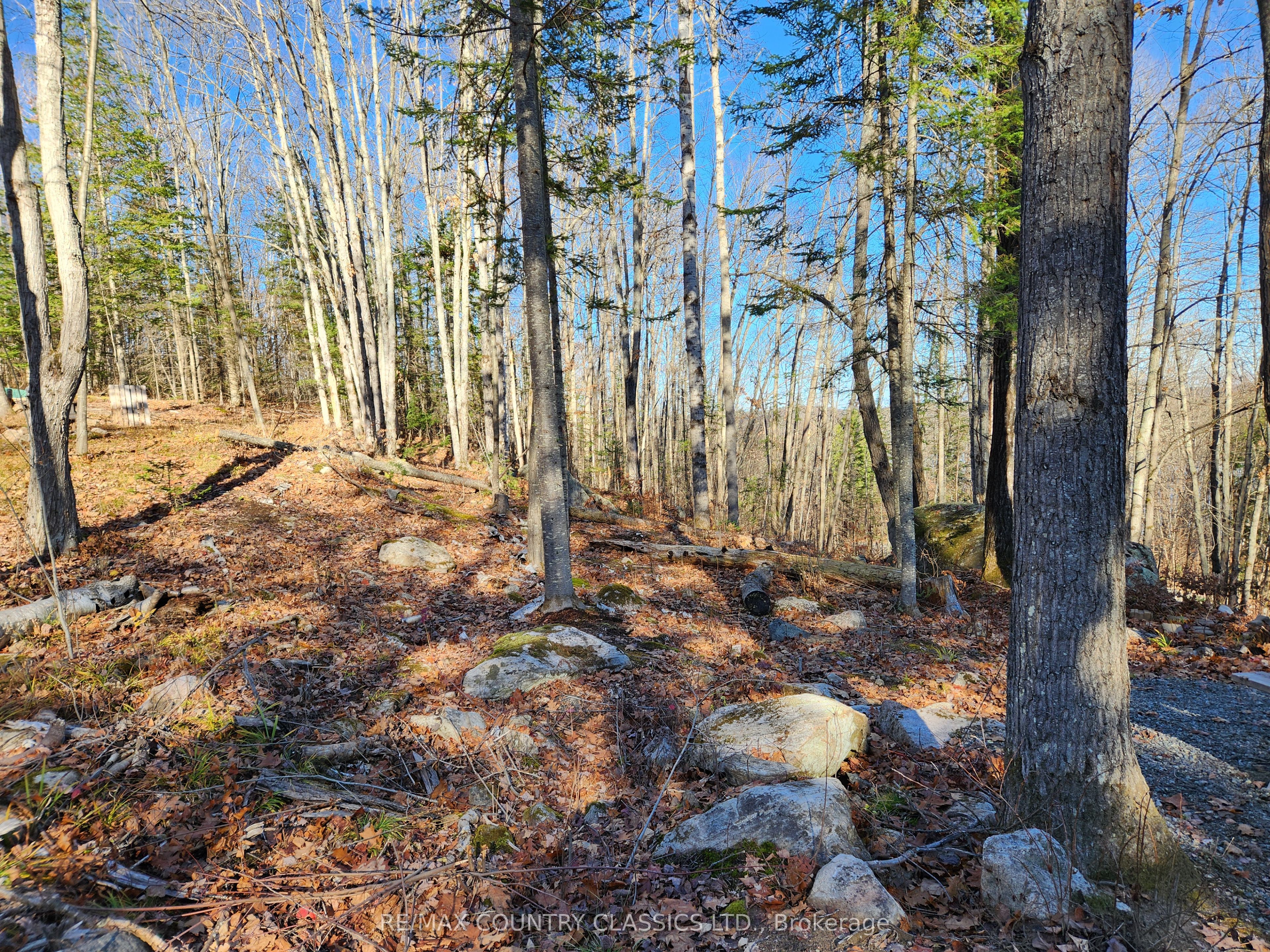 790 Mitchell Road Property Photo 11