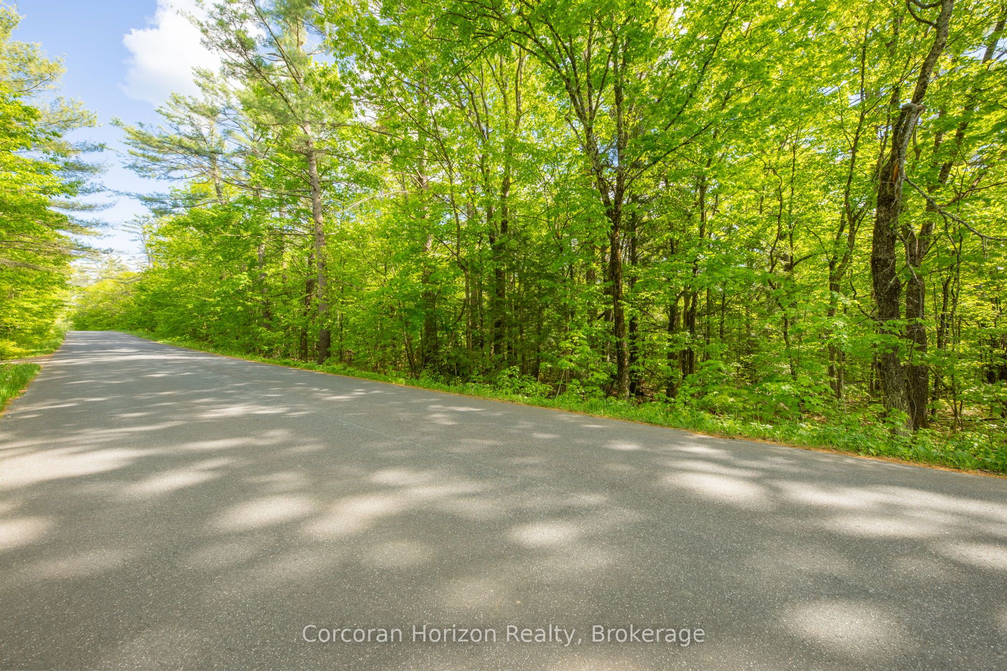 1020 Ridge Road Property Photo 13