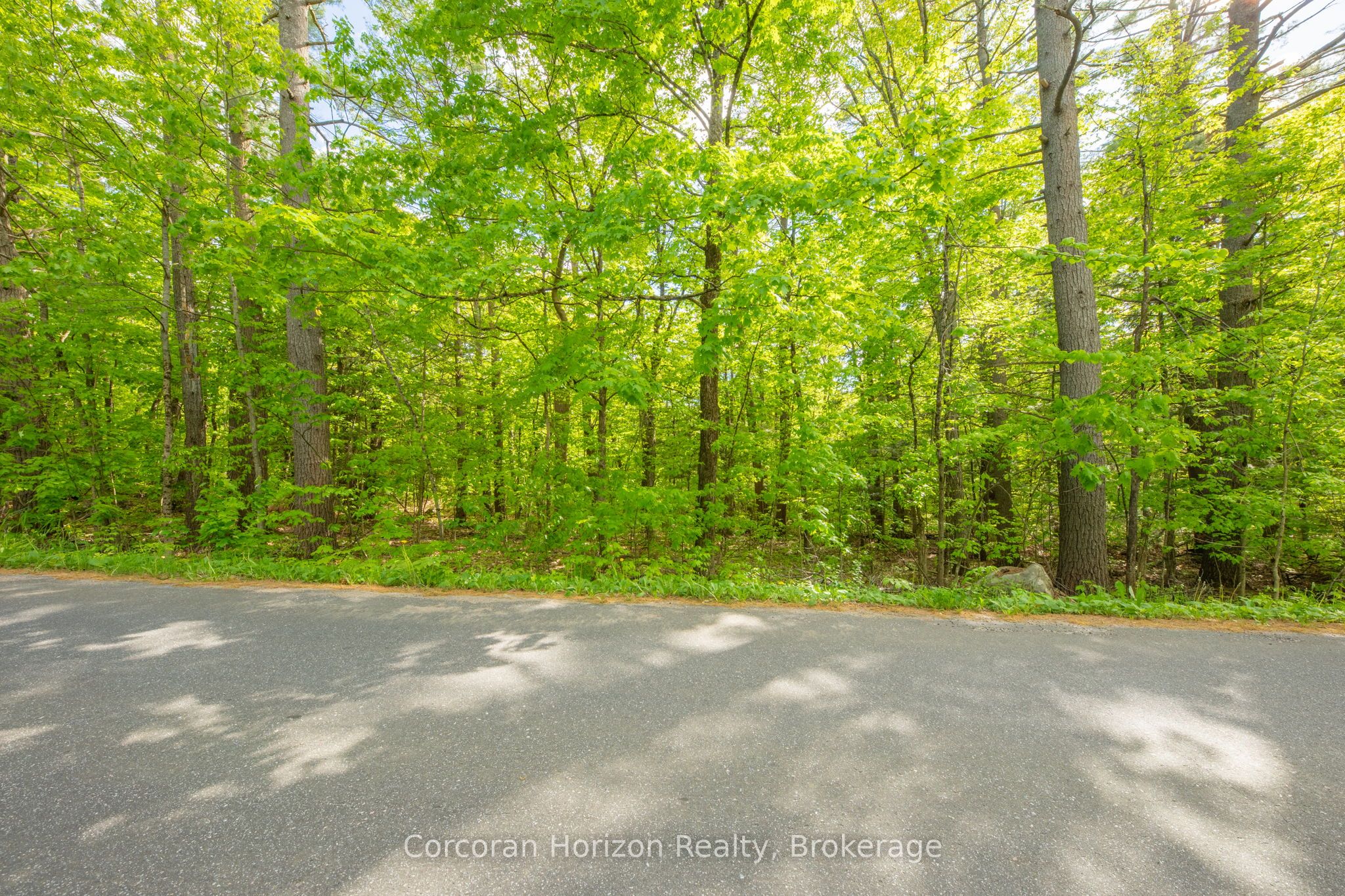 1020 Ridge Road Property Photo 14