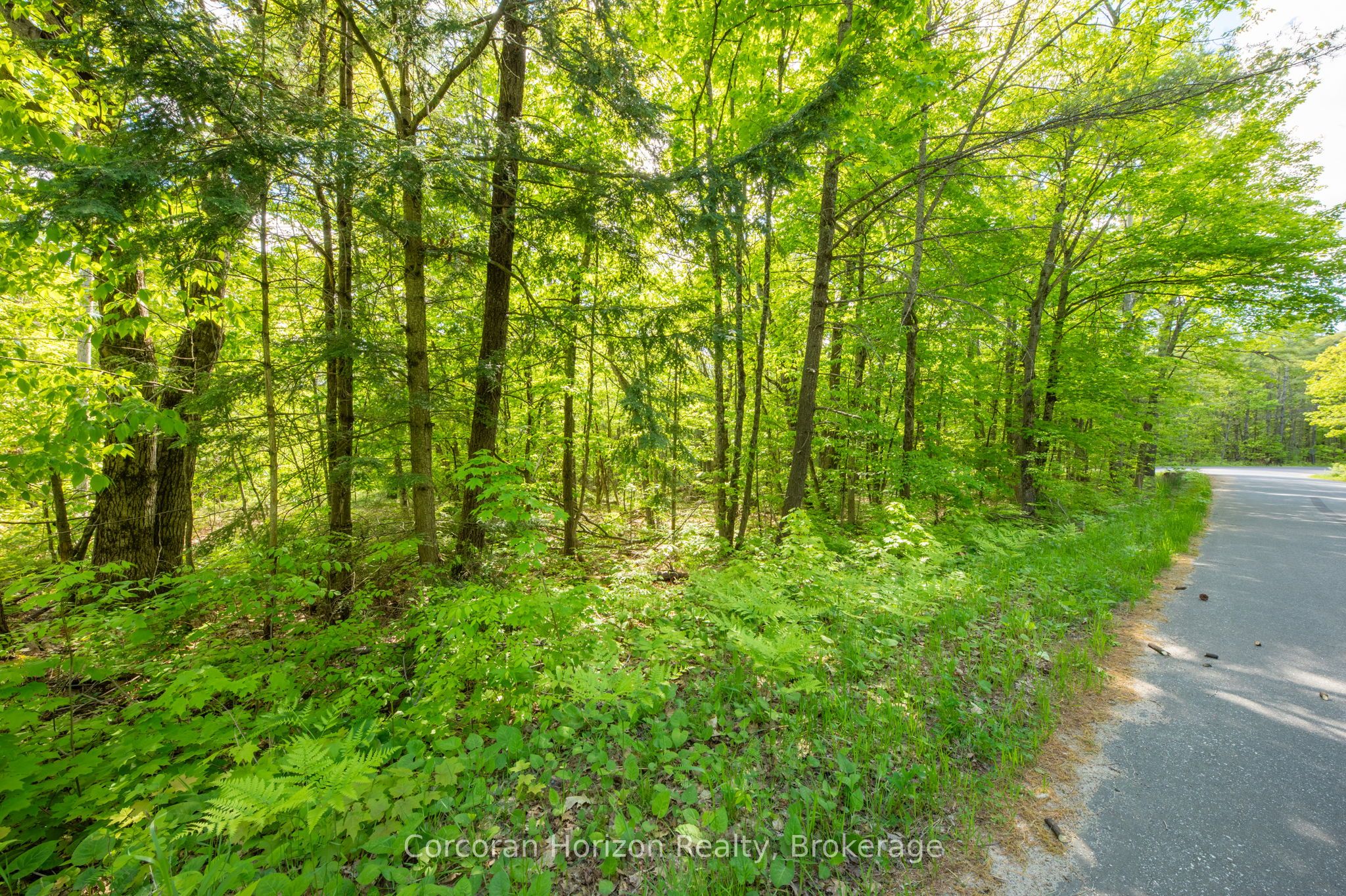1020 Ridge Road Property Photo 15